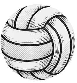 Volleyball img