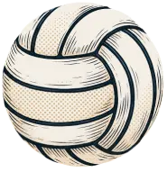 Volleyball img